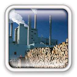 Pulp and paper industry